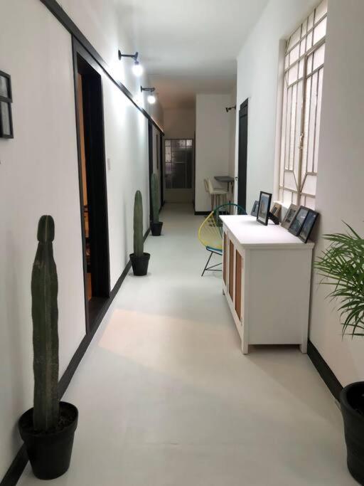 C6 Habitacion En Condesa Amsterdam Μεξικό Εξωτερικό φωτογραφία